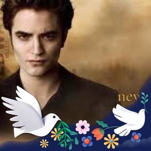 Meet your Posher, Luna